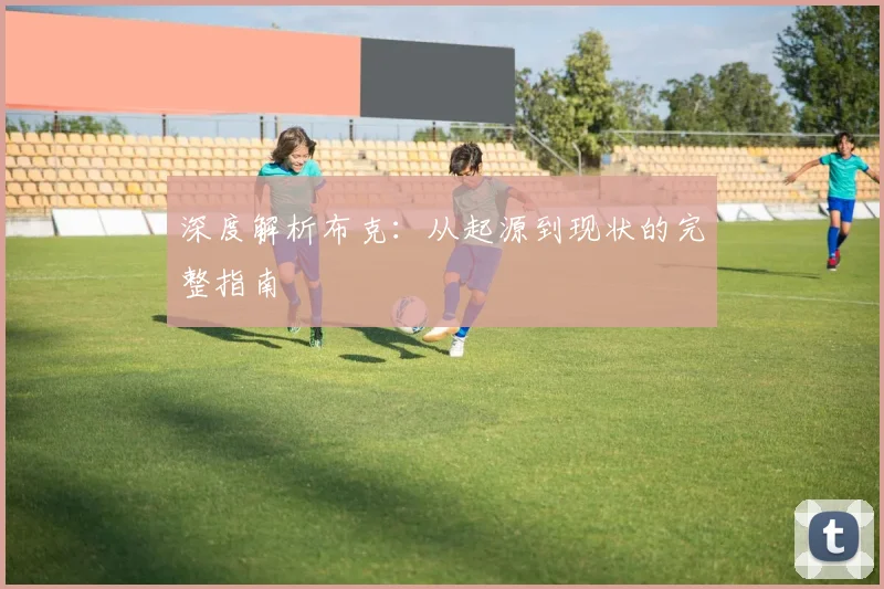 深度解析布克:从起源到现状的完整指南