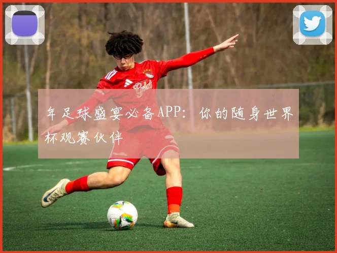 年足球盛宴必备APP:你的随身世界杯观赛伙伴