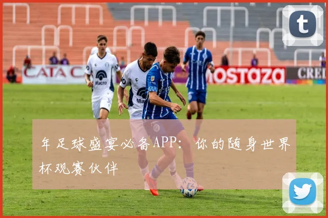 年足球盛宴必备APP：你的随身世界杯观赛伙伴