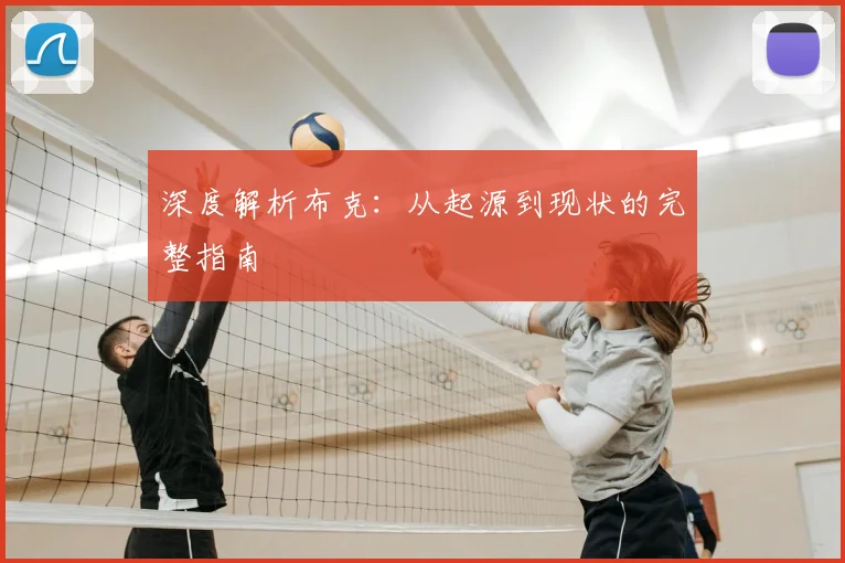 深度解析布克:从起源到现状的完整指南